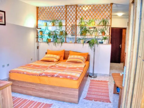 Studio Apartment Raspar
