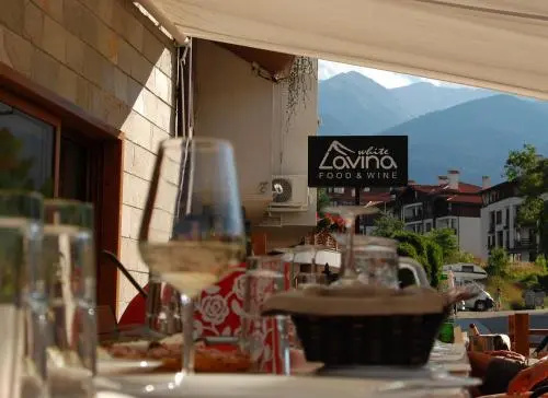 White Lavina Spa and Ski Lodge