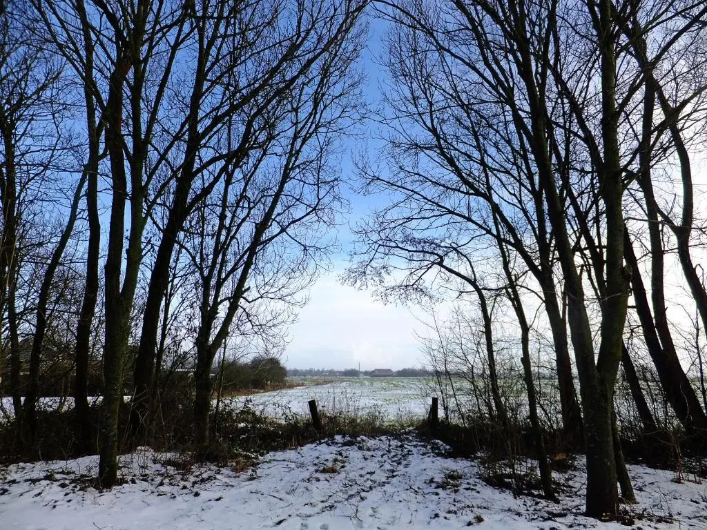 Haus Swantje