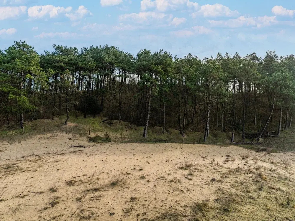 Holiday Home in Egmond aan Zee Near Beach