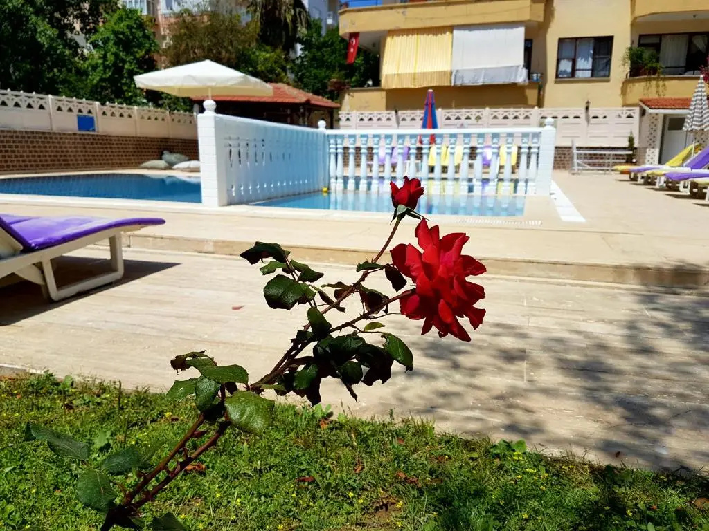 Palmen Apart Hotel