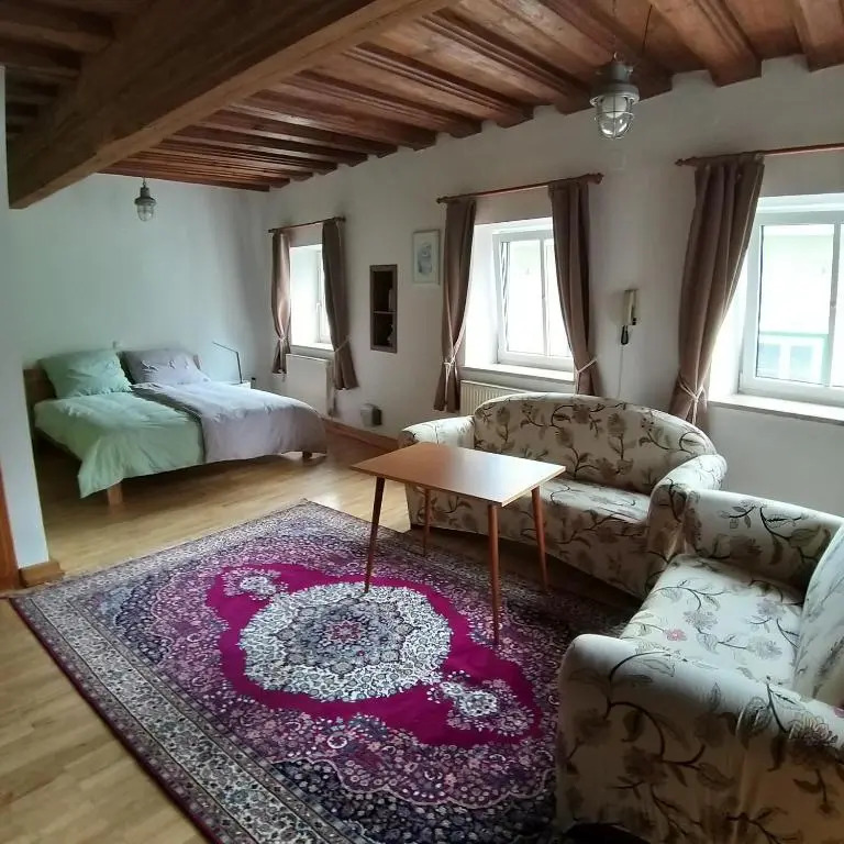 Apartment in Historic Town House