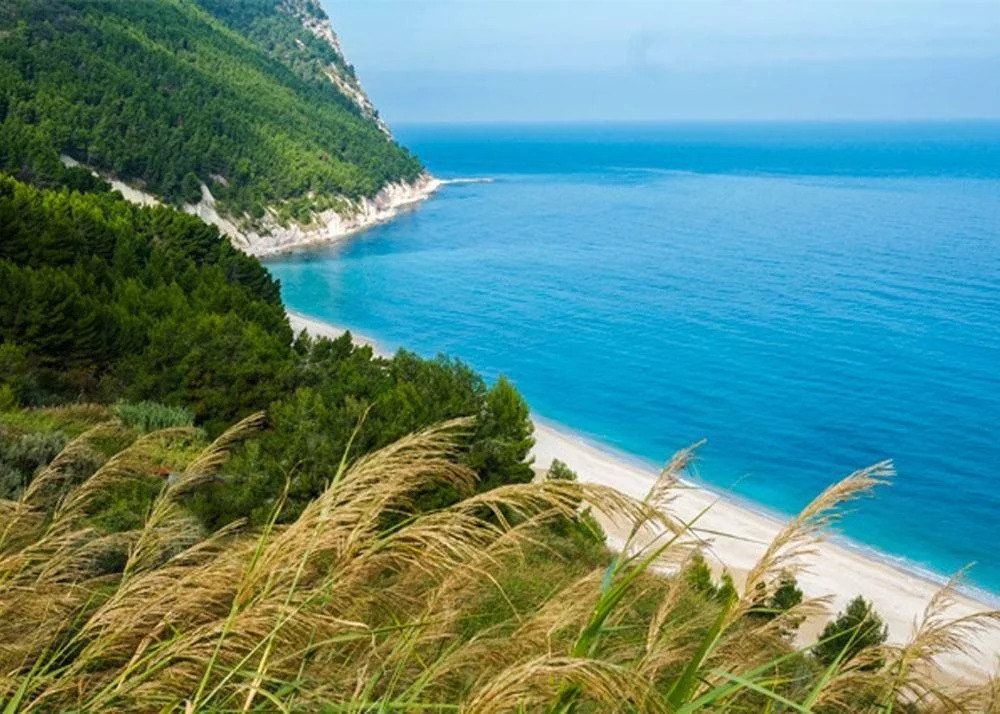 Agriturismo Il Parco