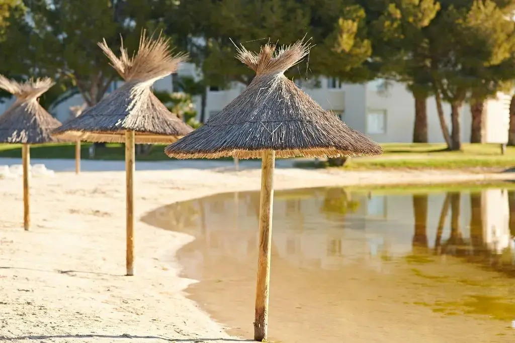 Hotel Club Le Plein Sud Vacances Bleues