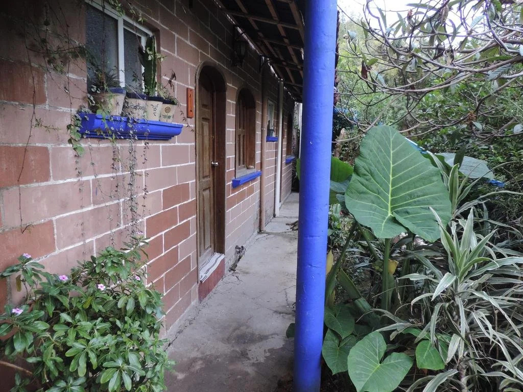 Casa Ticitl temazcalli
