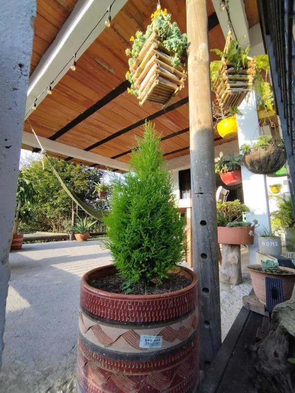 Finca Hotel Zona 7