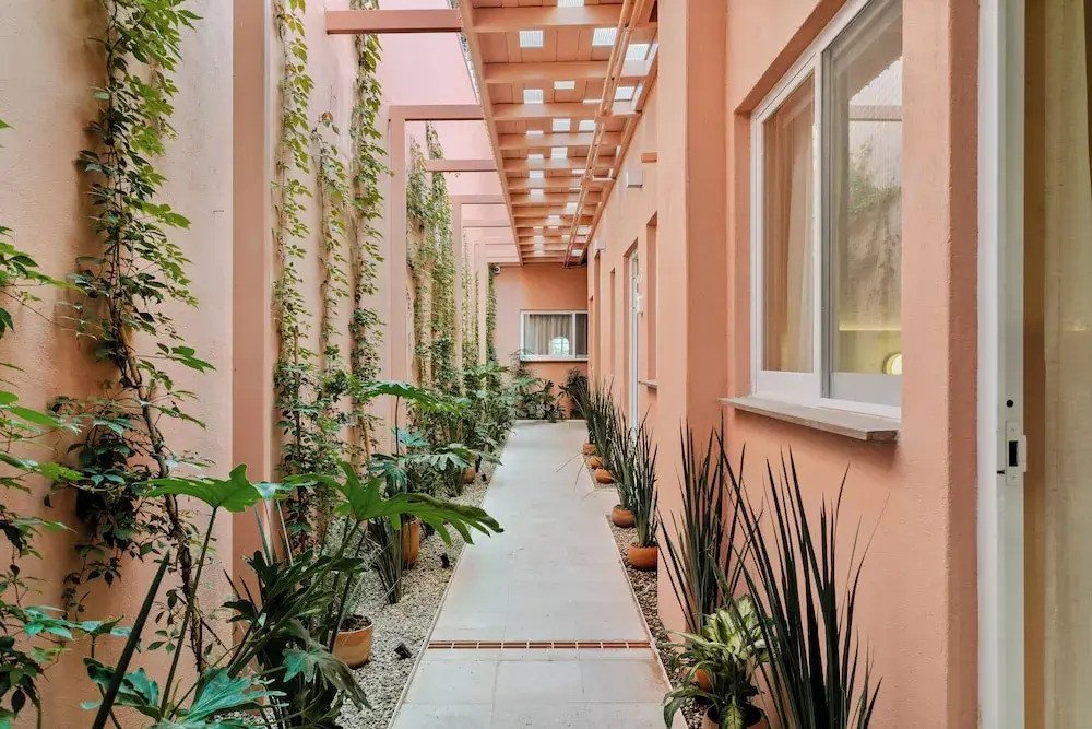 Damián Carmona By Homi Rent