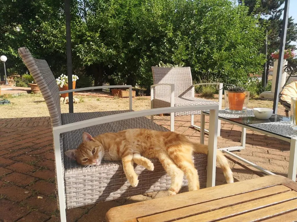 Maison Tuscany Bed&Breakfast