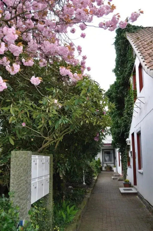 Ferienwohnung Südpark