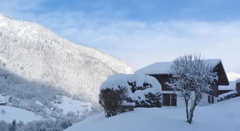 Chalets du Fraizier