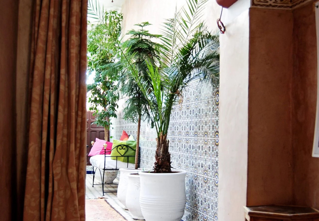 Riad Les Oliviers & Spa