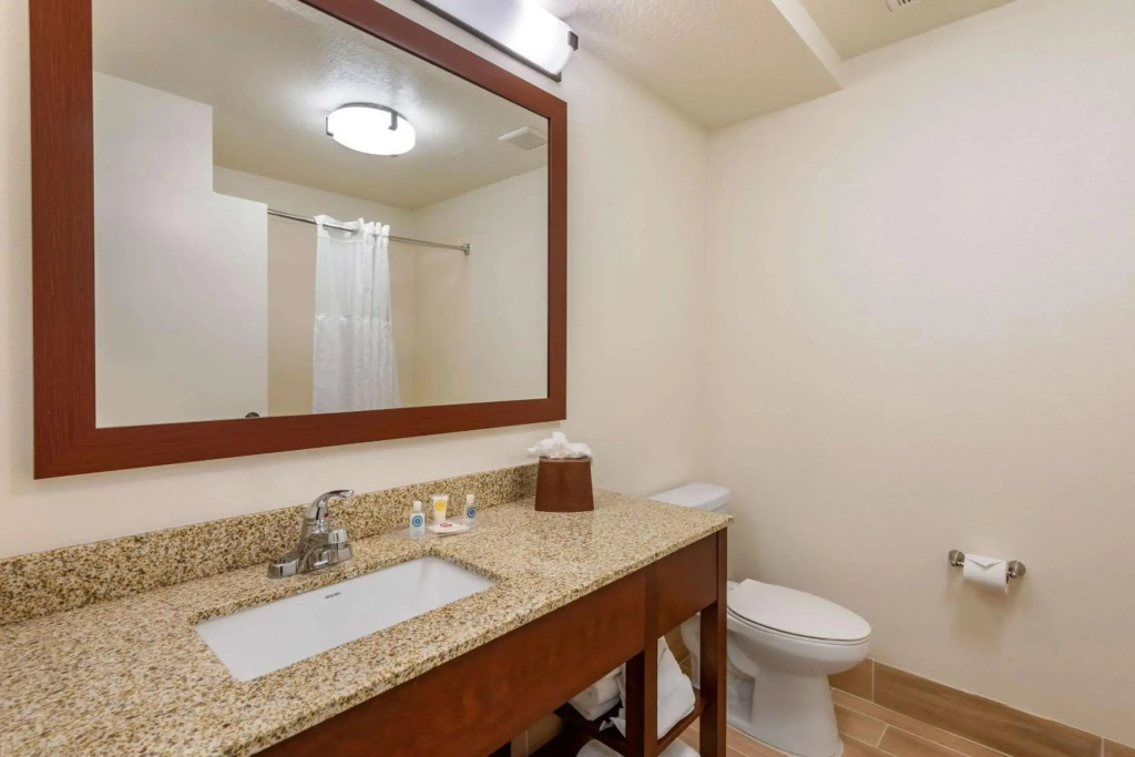 Comfort Suites Downtown