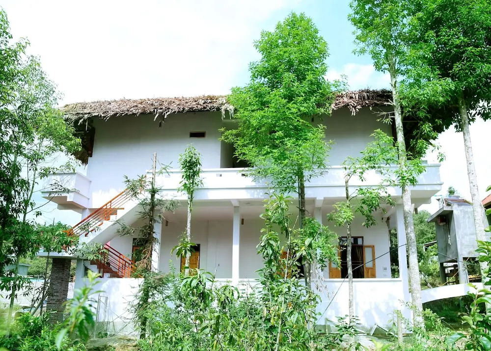 Sunny Garden