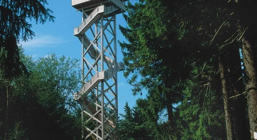 Hotel Steinwaldhaus