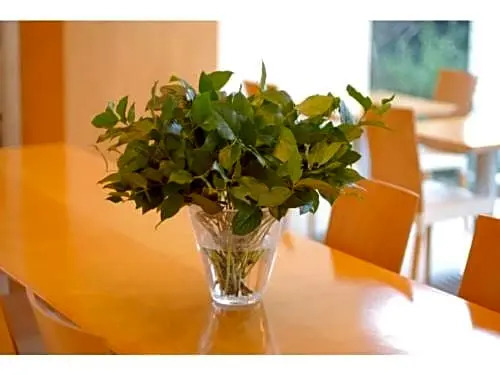 7 Days Hotel - Vacation STAY 84876