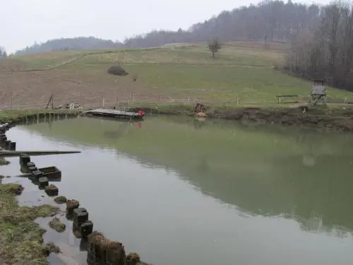 Zimmer Steger
