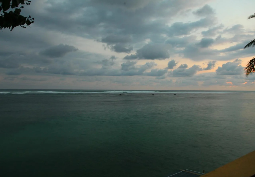 The Reef Edge