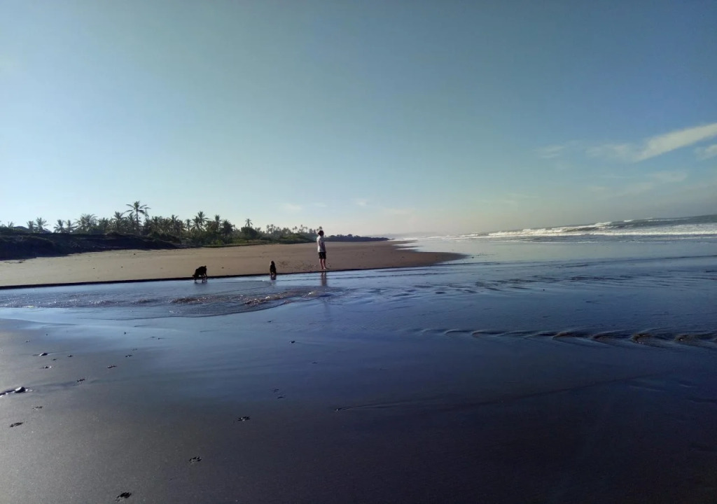 The Caz Bali