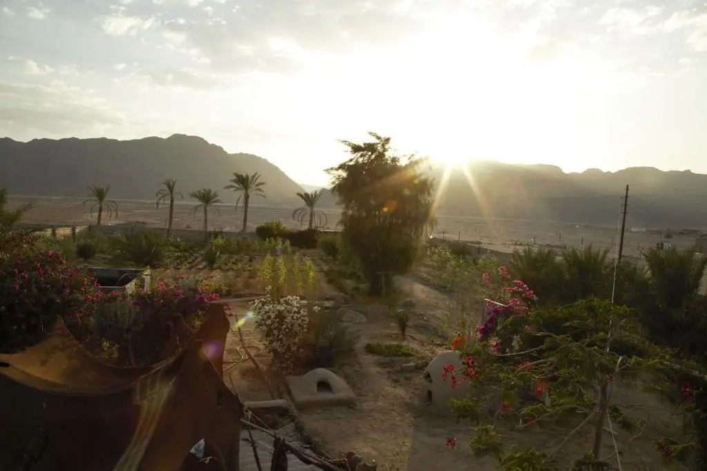 Habiba Organic Farm