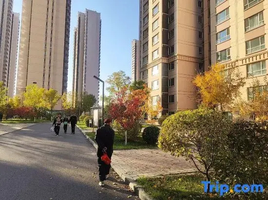 Orange Homestay (Longcheng Xinyuan District G Branch)