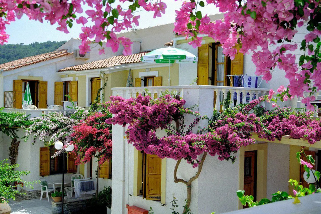 Olympia Beach Hotel