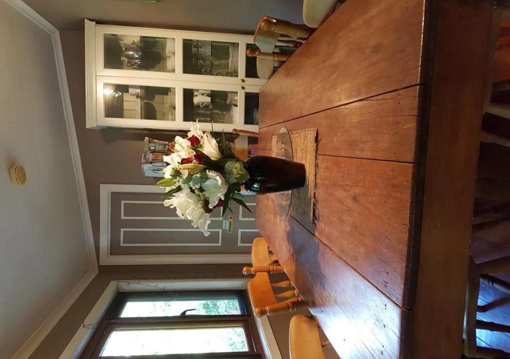 The Odd Gecko B&B