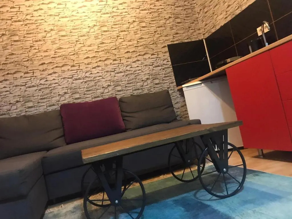 hygienic budget accommodation central 40 50 square meters with garden
