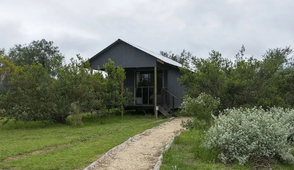 Sleep Whiskers Away From the Lions and " Feel " Them Roar! Cabin 4