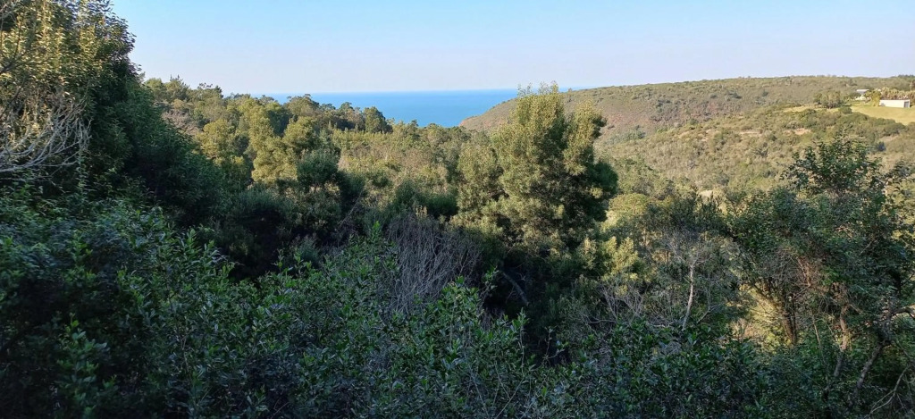 Oriole Serene Self Catering Studio