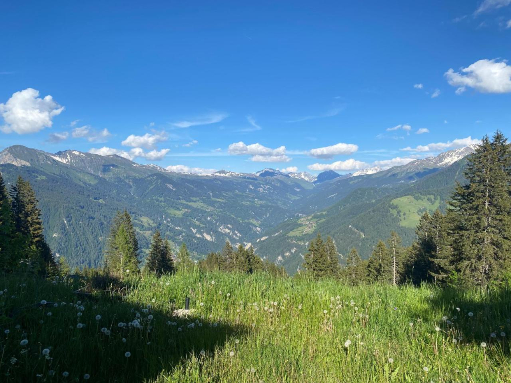 Bergpension Battagliahütte