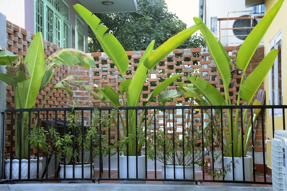 Maia Garden Homestay Danang