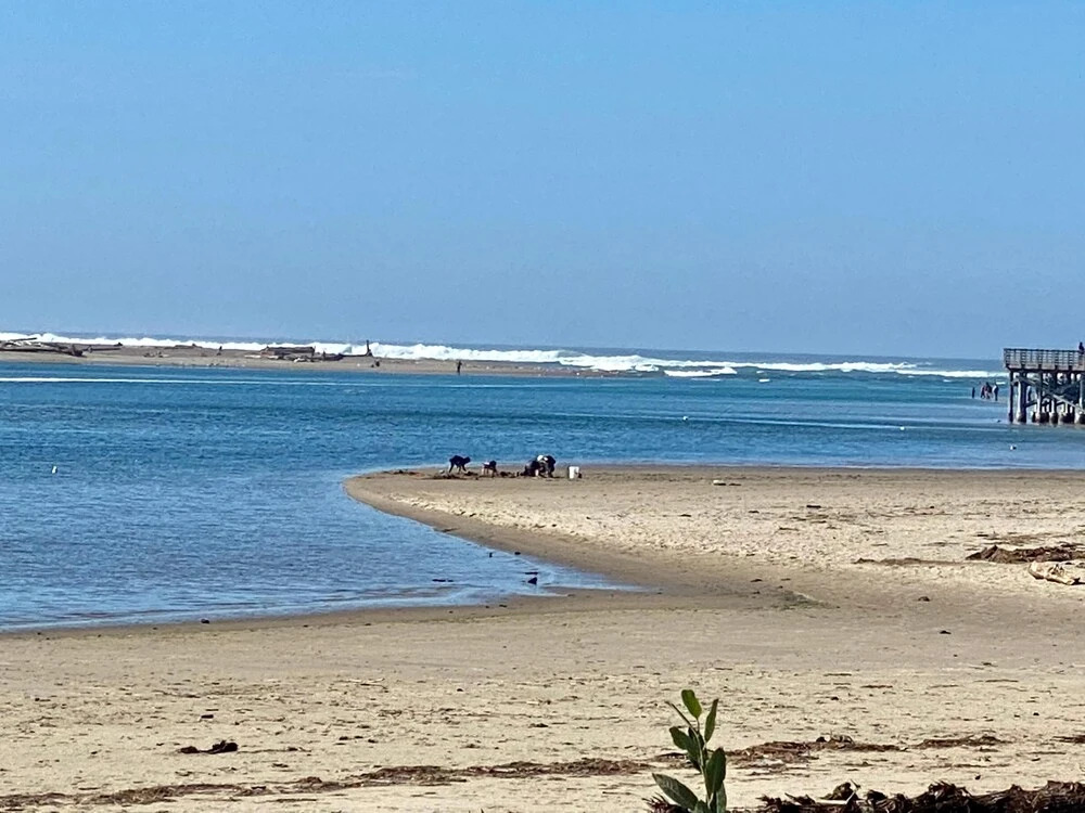 Waters Edge 101 Ocean Front