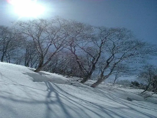 Ibex Lodge