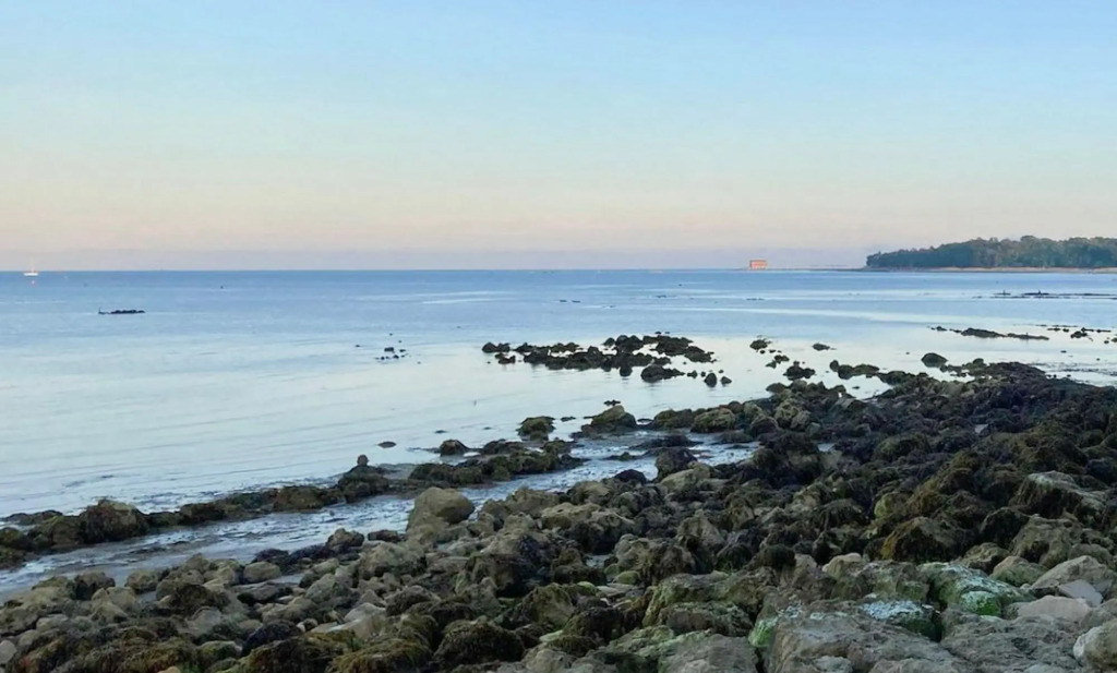 Coastal East View in St Helens