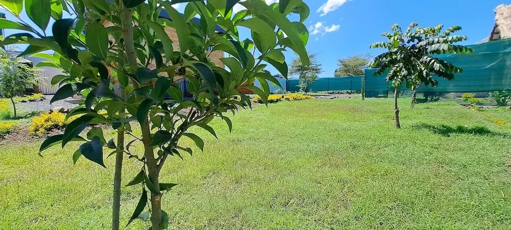 Wild Wood Cottages, Naivasha