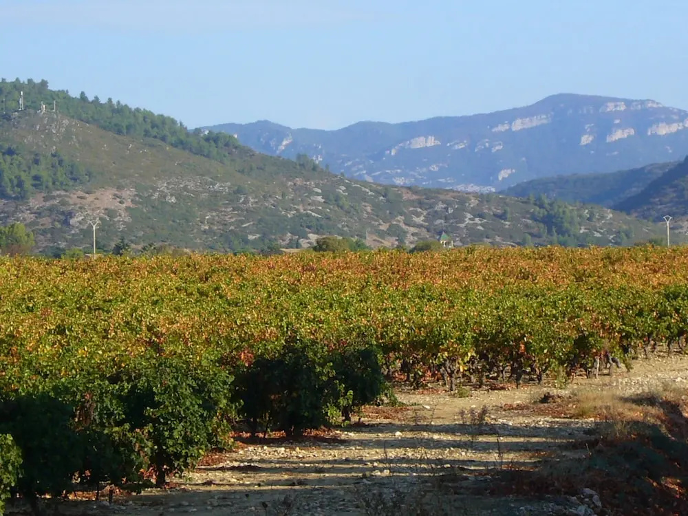 Domaine des Condamines