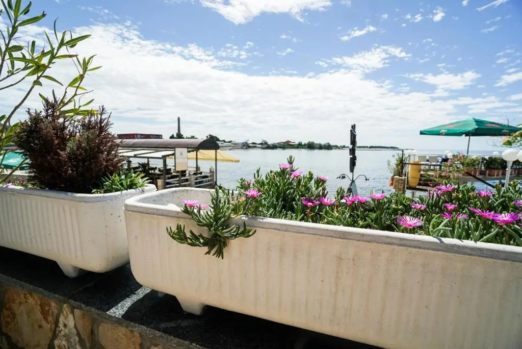 Sea view apartment Umag 1