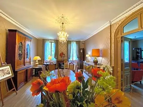Demeure Saint Louis Historic manor, City 700m, free parking,A C,Clim,WIFI, city view, Garden