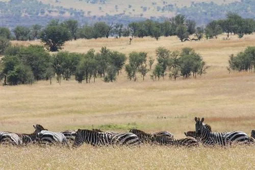 Lemala Mara Camp