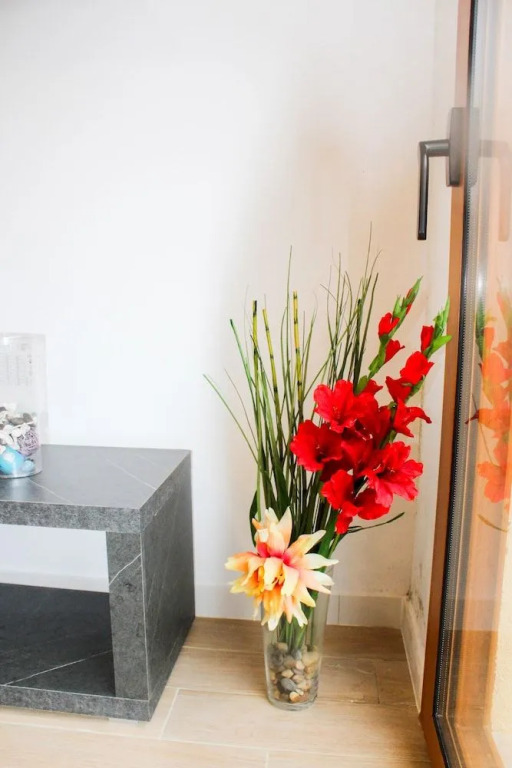 Barceló Apartaments