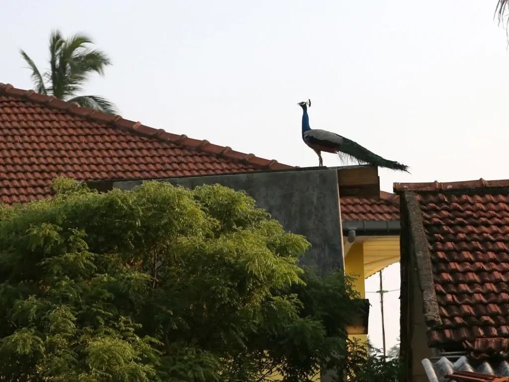 Sethun House