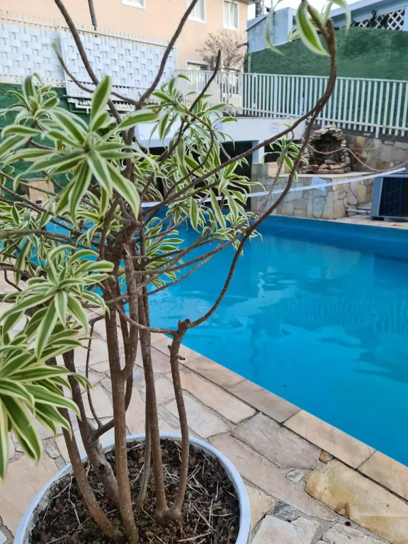Pousada VITORIA GARDEN