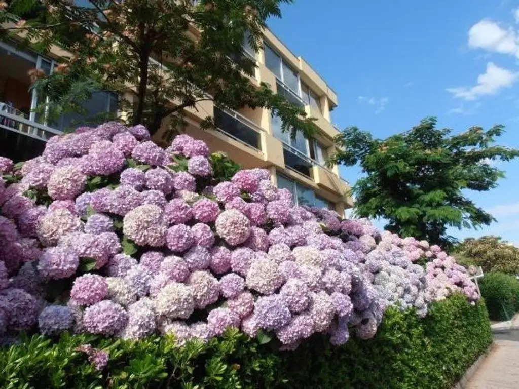 Appartement Bormes-les-Mimosas, 2 pièces, 4 personnes - FR-1-251-4