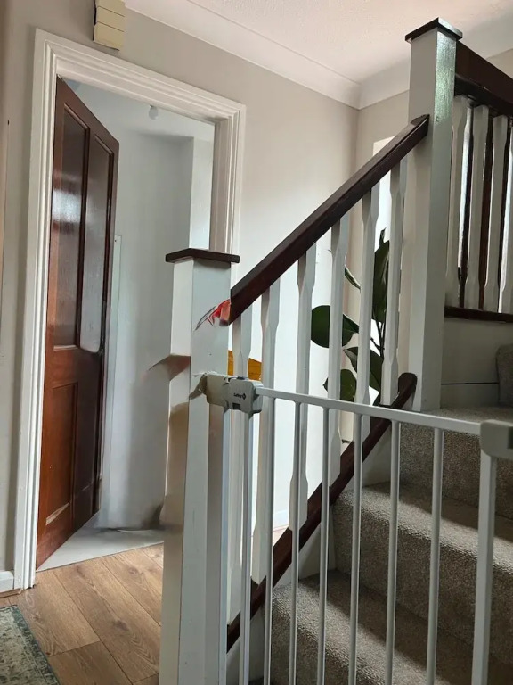 St Albans Spacious Party House