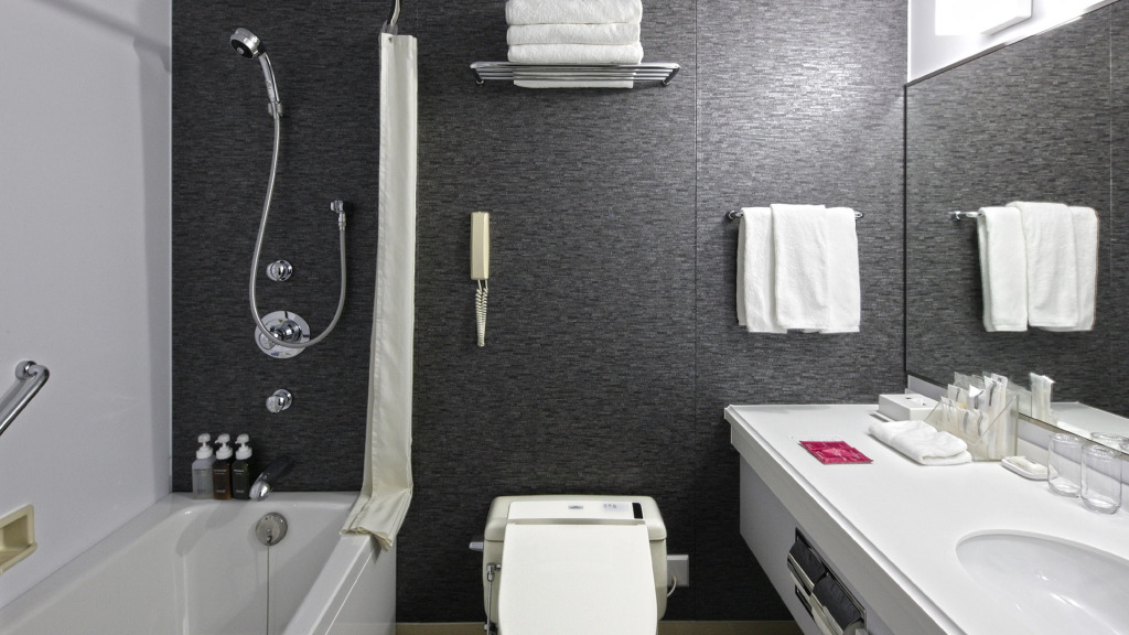 ANA Crowne Plaza Niigata by IHG