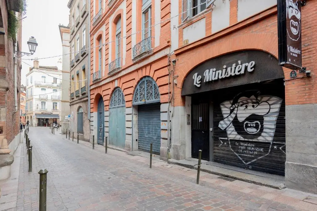 Le Roseau - Superbe studio en hypercentre de Toulouse