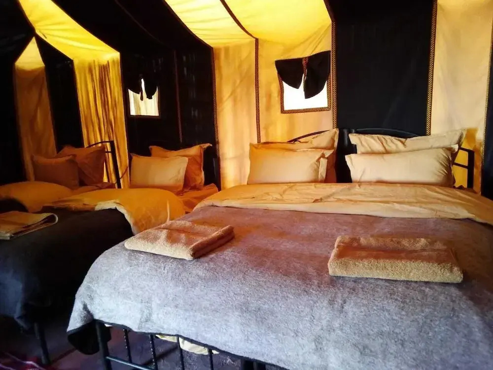 Camel Trekking Camp & Activities