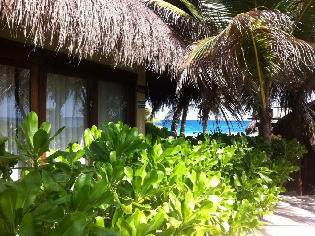 Orchid House Tulum Beach