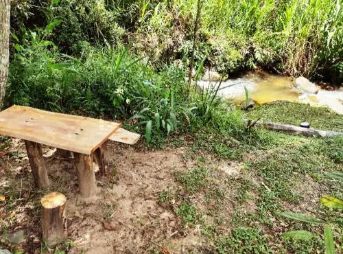 Ecoturismo Tripuí