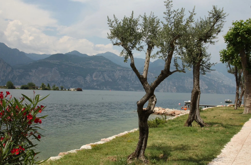 Atlantide Villaggio Albergo